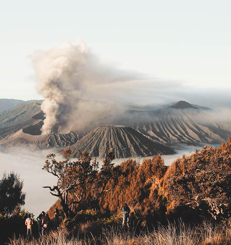 Live vulcano